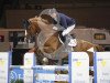 jumper Another Pleasure (KWPN (Royal Dutch Sporthorse), 2005, from For Pleasure)