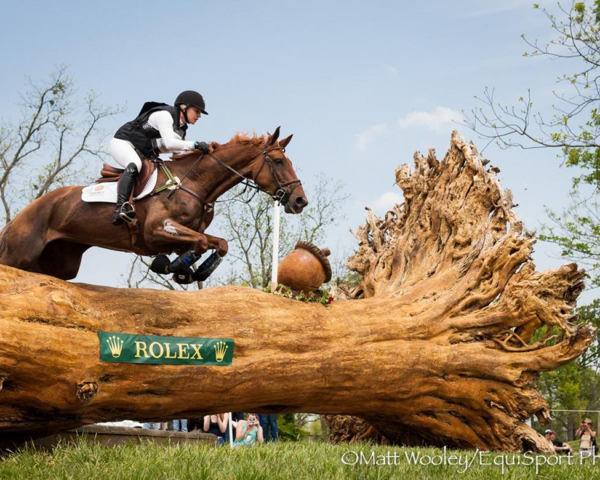 dressage horse Demeter (Oldenburg, 2002, from Rubin Royal OLD)