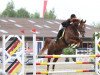 jumper Seute Deern 32 (Hanoverian, 2004, from Stolzenberg)