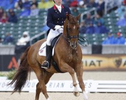 dressage horse Wie-Atlantico de Ymas (Hanoverian, 1999, from Wie Weltmeyer)