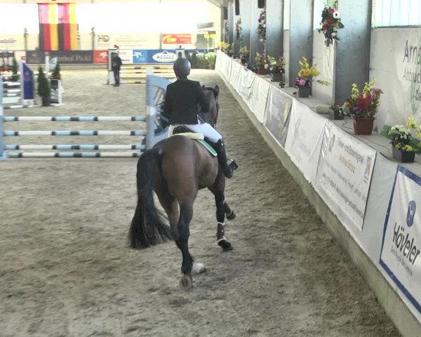 Reitturnier Karlsfeld 2022