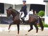 dressage horse Fine Time 13 (Westphalian, 2001, from Florestan I)