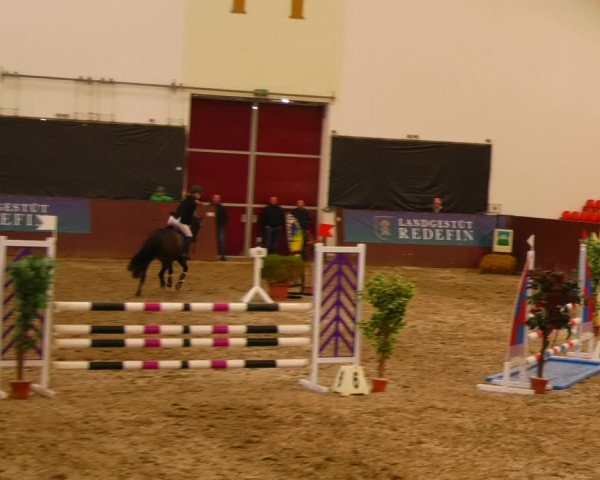 Reitturnier Redefin 2022