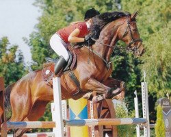 broodmare Pachira (Hanoverian, 2005, from Pharaon xx)