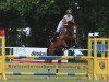 jumper Cosima Z (Oldenburg show jumper, 2008, from Casiro I)