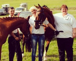 broodmare Gentle Giuliana (German Riding Pony, 2008, from Gentleman)