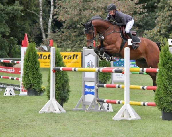 jumper Champ 238 (German Sport Horse, 2009, from Chap 47)
