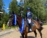 Springpferd Zata C (Schwedisches Warmblut, 2012, von Connor 48)