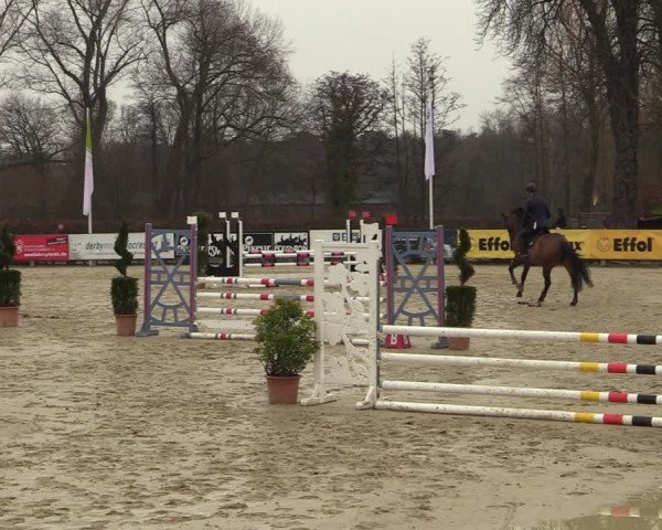 Reitturnier Münster-Handorf | Late Entries 2022