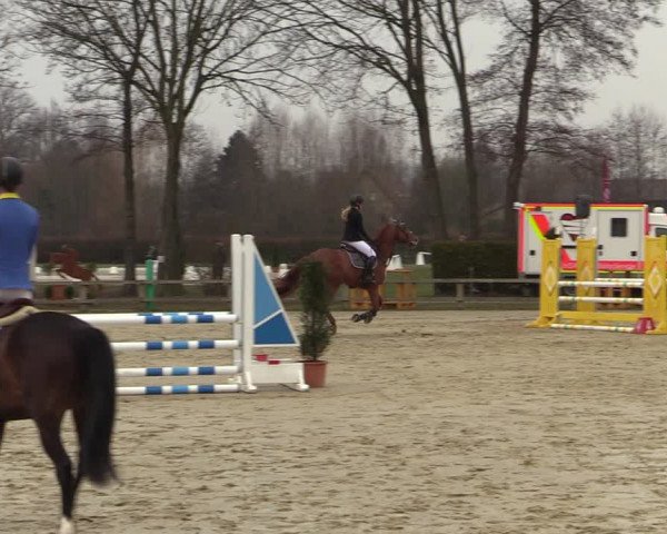 Reitturnier Münster-Handorf | Late Entries 2022