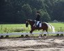 dressage horse Raphael D (Lewitzer, 2003, from Ramses ben Galdos ox)