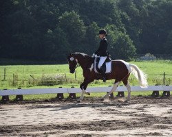 dressage horse Raphael D (Lewitzer, 2003, from Ramses ben Galdos ox)