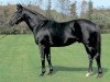 stallion Fuji Kiseki xx (Thoroughbred, 1992, from Sunday Silence xx)