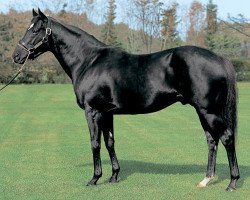 stallion Fuji Kiseki xx (Thoroughbred, 1992, from Sunday Silence xx)