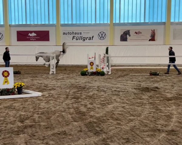 Video of Django