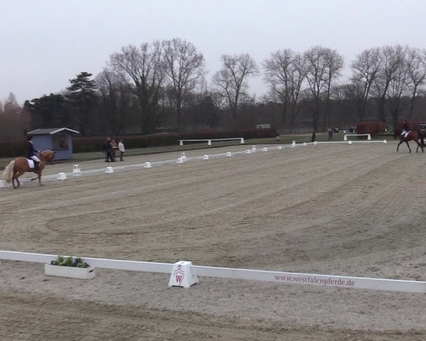 Reitturnier Münster-Handorf | Late Entries 2022