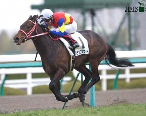 horse Grand Prix Blood xx (Thoroughbred, 2009, from Deep Impact xx)