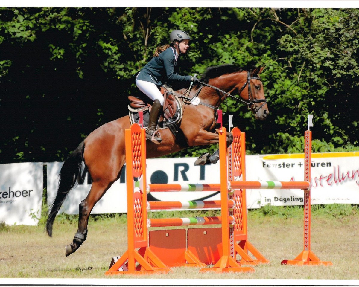 broodmare Amelie Go (German Warmblood, 2008, from Colman)