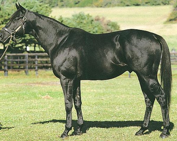 stallion Toho Emperor xx (Thoroughbred, 1996, from Brian's Time xx)