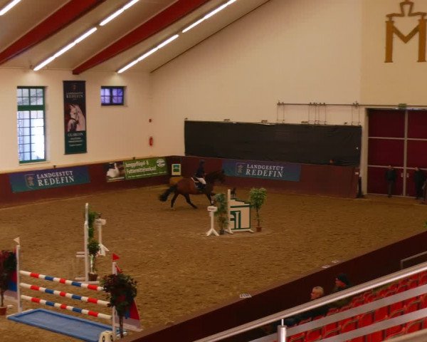 Reitturnier Redefin 2022