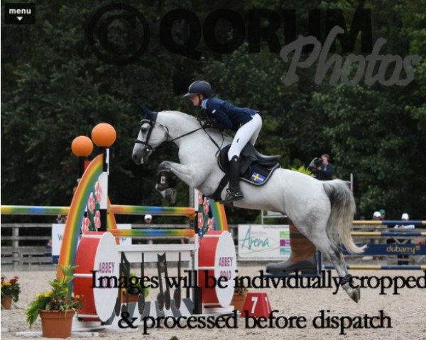 jumper Mystic Impact (Irish Sport Horse, 2007)