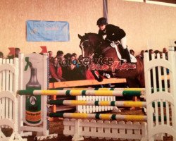 jumper Picos (German Riding Pony, 1999, from Playboy)