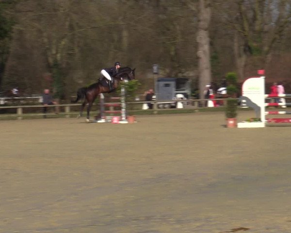 Reitturnier Münster-Handorf | Late Entries 2022