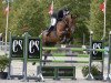 jumper Stenagers Hard To Beat (Danish Warmblood, 2007, from Heartbeat)