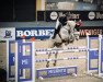 jumper Icebear (KWPN (Royal Dutch Sporthorse), 2012, from If Ever 111)