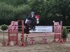 jumper Daiquirii (German Riding Pony, 2005, from Dirigent)