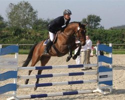 jumper F A Colander (Danish Warmblood, 2007, from Colman)