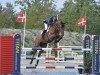 jumper Chacom Ask (Danish Warmblood, 2007, from Carson Ask)