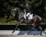 dressage horse Fidertraum CH (Swiss Warmblood, 2015, from Fidertanz)