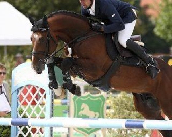 jumper Clifford Z (Zangersheide riding horse, 2006, from Cassiano)