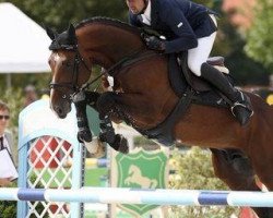 jumper Clifford Z (Zangersheide riding horse, 2006, from Cassiano)