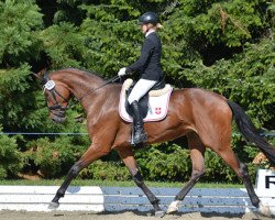 dressage horse Zaphira Gs CH (Swiss Warmblood, 2013, from Zonik)