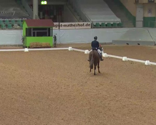 Reitturnier Kreuth/Opf. 2022