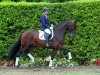 dressage horse Salvatore (Westphalian, 2009, from Sandro Hit)