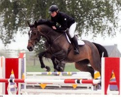 broodmare Histoire de Laubry (Belgian Warmblood, 2007, from Chin Chin)