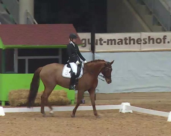 Reitturnier Kreuth/Opf. 2022