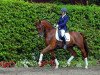 dressage horse Braveheart 36 (Westphalian, 2009, from Biasini)