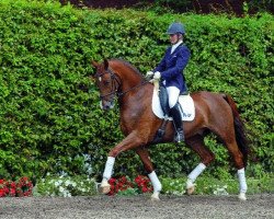 dressage horse Braveheart 36 (Westphalian, 2009, from Biasini)