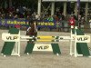 jumper Best Off du Monselet (Belgium Sporthorse, 2007, from Riesling du Monselet)