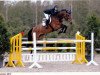 Springpferd Goldika de Laubry (Belgisches Warmblut, 2006, von Indorado)