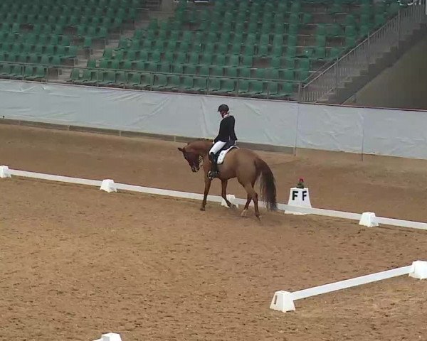 Reitturnier Kreuth/Opf. 2022