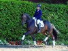 dressage horse Libori (Rhinelander, 2009, from Lord Loxley I)