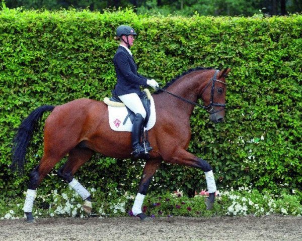 dressage horse Epsom (Westphalian, 2010, from Ehrentanz I)