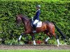 dressage horse Rock on Top (Westphalian, 2009, from Rock Forever NRW)