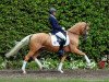 dressage horse Champagnero (German Riding Pony, 2010, from FS Champion de Luxe)