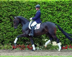 dressage horse Franciano (Westphalian, 2010, from Fiano)